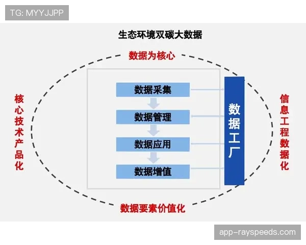 体育数字资产从分散管理向集中化运营转变,效率提升明显